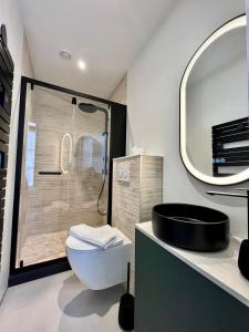 a bathroom with a shower and a toilet and a sink at LILLEHOSTS 1, Vieux Lille, Newly renovated, Modern & Stylish apartment, perfectly located in Lille