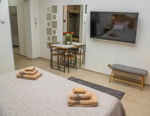 TV o dispositivi per l'intrattenimento presso Sobe Teatar 3