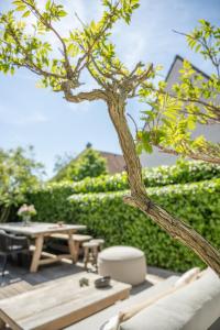 a picnic table and a tree in a garden at NEW Family Chic Design, Comfort & Outdoor Living - Free Parking Wifi in Knokke-Heist