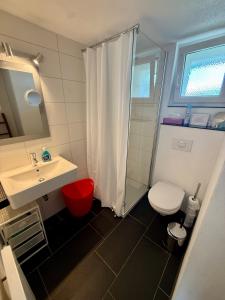 a bathroom with a shower and a toilet and a sink at Family Laax Apt Lakeside Mountain Views in Laax