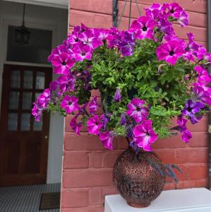 a vase filled with purple flowers on a wall at Walk to Wembley Stadium and Arena 2 Bedroom Sleeps 4 in London