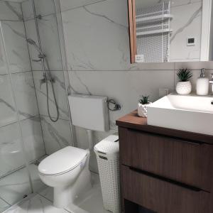 プトゥイにあるElegant City Escape Old Town Ptuj Apartmentのトイレ、洗面台、シャワー付きのバスルーム