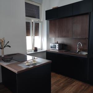 プトゥイにあるElegant City Escape Old Town Ptuj Apartmentのキッチン(黒いキャビネット、カウンタートップ付)