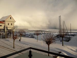 a marina in the snow with trees and a building at Haus 1 in Niederdorla
