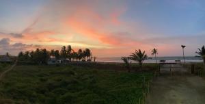 a sunset over a beach with palm trees and the ocean at Hostal pura vida in San Bernardo del Viento