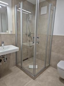 una ducha con puerta de cristal en un baño en Hotel Garni Kern, en Halfing