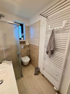 a bathroom with a shower and a toilet and a sink at Ruhige Ferienwohnung im Schwarzwald in Schramberg