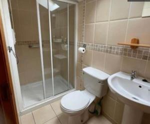 a bathroom with a shower and a toilet and a sink at Erne View Lodge in Putiaghan +33 photos