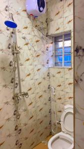 a bathroom with a shower with a toilet in it at TemiHOUSE40 in Ibadan