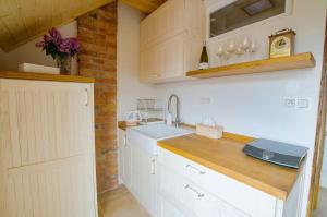 a kitchen with a sink and a counter top at Apartmán Trojan in Hrušky