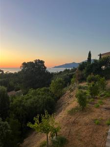a view of the sunset from a hill with trees at Cala di mare in Saint-Florent