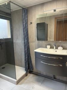 a bathroom with a shower and a sink and a mirror at CAPUCINES - T2 ANGLET avec stationnement in Anglet