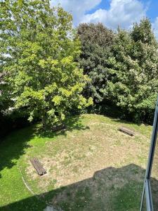 Un patio abierto con un árbol y dos bancos. en Cozy appart between Paris & Disney, en Torcy 3 fotos más