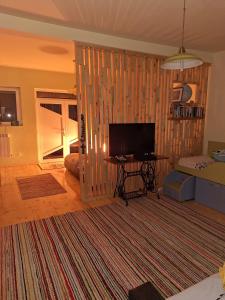 a living room with a television and a large rug at Casa la Helesteu in Ocnele Mari