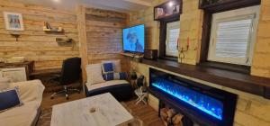 a living room with a fireplace and a tv at Katerina Boutique Apartment in Bansko