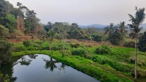 un río en medio de un campo con árboles en Coorg Relax Home, en Madikeri