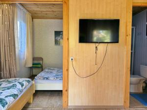 TV a/nebo společenská místnost v ubytování Zem Priedēm