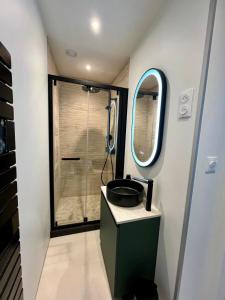 a bathroom with a sink and a shower at LILLEHOSTS 1, Vieux Lille, Newly renovated, Modern & Stylish apartment, perfectly located in Lille +15 photos