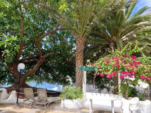 Afbeelding uit fotogalerij van Marina View Playa Chica in San Andrés