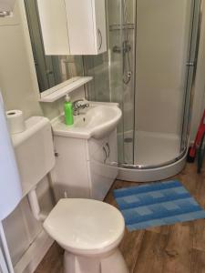 a bathroom with a toilet and a sink and a shower at Badacsony Camping in Badacsonytomaj +22 photos