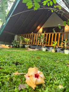 Garður fyrir utan Manju Homestay