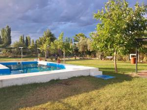 a swimming pool in a yard with a tree at Cabaña Piedra Blanca in San Rafael