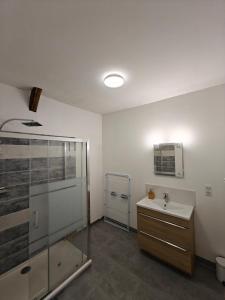 a bathroom with a shower and a sink at Hébergement 4 chambres indépendantes hyper-centre in Saint-Dizier