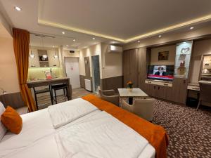 TV a/nebo společenská místnost v ubytování Hotel Charles