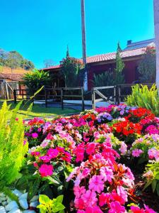 Ein Garten an der Unterkunft Pousada Pitauá
