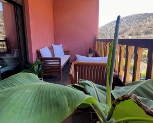 a balcony with two chairs and a plant at Luminoso y Elegante, piscinas y pistas de pádel in Palm-mar