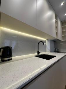 プリシュティナにあるPristina Luxury Apartments 21のシンクとカウンタートップのあるキッチン