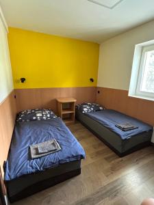 Postel nebo postele na pokoji v ubytování Penzion u Fika