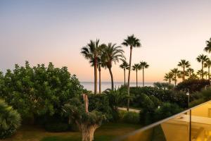 un balcón con vistas al océano y a las palmeras. en Bungalow Sergio, en Estepona