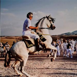 a man riding a white horse in the desert at Casa ARMANDA 2 in Rivalto