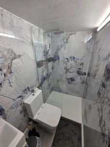 a bathroom with a toilet and a glass shower at Private Basement Flat in London