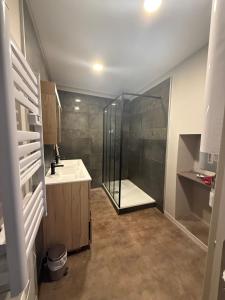 un baño con ducha y lavabo en L'ideal, en Vannes