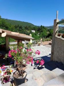 eine Terrasse mit rosa Blumen und einer Bank in der Unterkunft La Maison de Graviès in Anduze