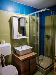 a bathroom with a sink and a shower and a toilet at Apartman 9 - Dar Lux in Banja Koviljača +4 photos