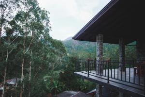 een uitzicht vanaf het balkon van een huis in het bos bij The Hidden Heaven in Diyatalawa