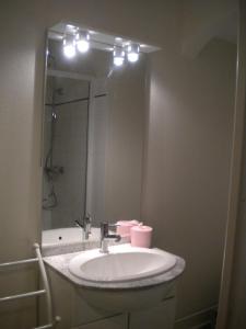 a bathroom with a sink and a mirror at Studio MARMOTTES au RDC a HYPER centre du Mont DORE in Mont-Dore