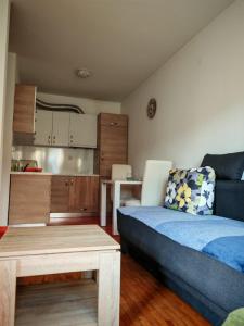 Photo de la galerie de l'établissement Apartman 6 - Dar Lux, à Banja Koviljača