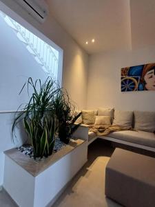 特拉帕尼GREEN FRESH的相册照片