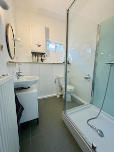 un bagno con doccia, lavandino e WC di Boshuisje June - middenin de natuur op een uurtje rijden van Antwerpen en Maastricht a Balen