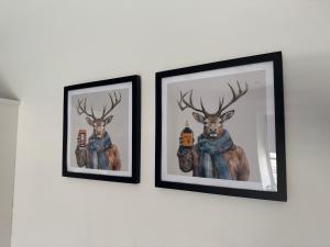 Fotografie z fotogalerie ubytování The Square Kintore v destinaci Kintore