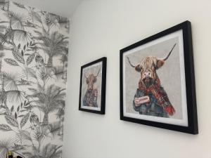 Fotografie z fotogalerie ubytování The Square Kintore v destinaci Kintore