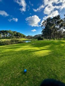 a blue ball on the grass in a field at Aroeira Luxury Azul Villa, Lisboa, Beach, Surfing, Golf, Exploring, Hiking, Fishing in Charneca