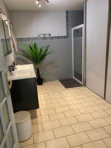 Un baño con lavabo, inodoro y ducha. en Jolie T2 à 5 minutes de la mer, en Le Pradet