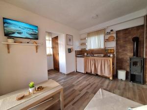 a living room with a kitchen with a stove at Vikendica Trenutak - Vikendica na Drini in Loznica +15 photos