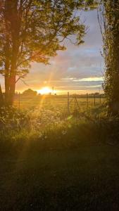 VelgastにあるUrlaub auf dem Alpakahof Nähe Velgastの塀と木の畑夕日