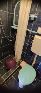 a bathroom with a toilet and a shower curtain at Apartman Tomas in Herceg-Novi
